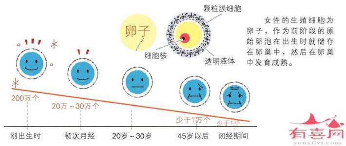 39岁基础卵泡有多少个正常