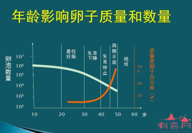 40岁基础卵泡有多少个正常