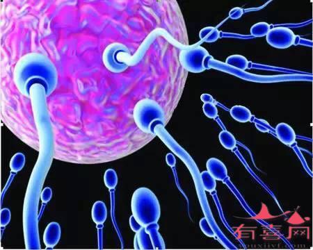 精子畸形率21%能做试管婴儿吗