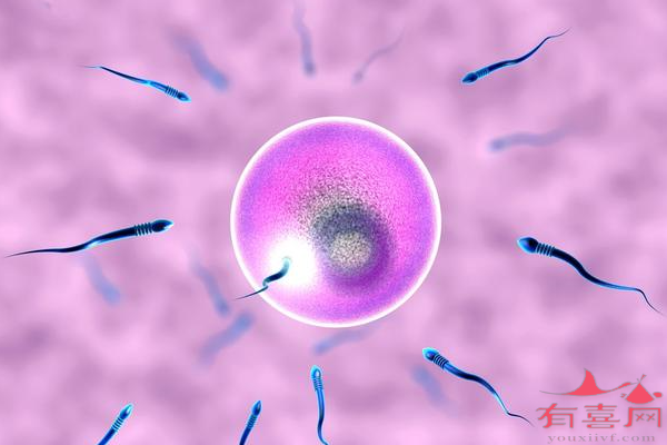 精子畸形率56%正常吗