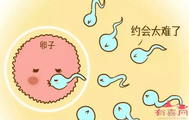 精子畸形率73%正常吗