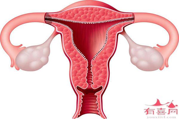 子宫内膜厚度5mm可以移植胚胎吗