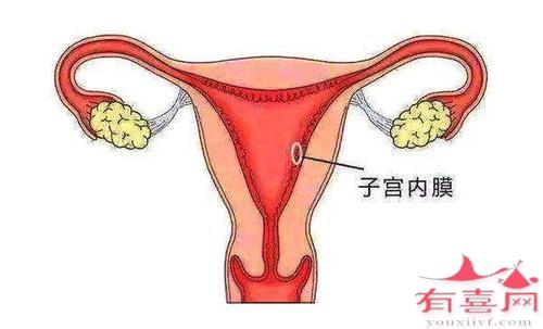 子宫内膜厚度17mm怀孕成功率高吗