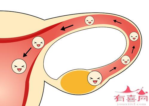 备孕100.jpg