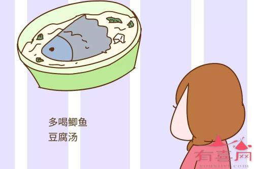 怀孕五月饮食不能吃什么