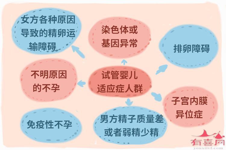 患有哪些疾病不能做试管婴儿