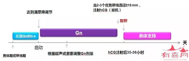 促排方案：短效长方案一般多少天