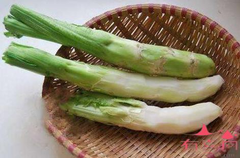 备孕能吃棒菜吗