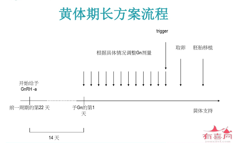 试管婴儿长方案详细流程介绍