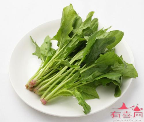 正在备孕能吃菠菜吗