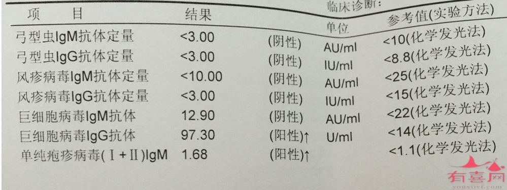 单纯疱疹病毒1型(HSV-1)IgM抗体是什么