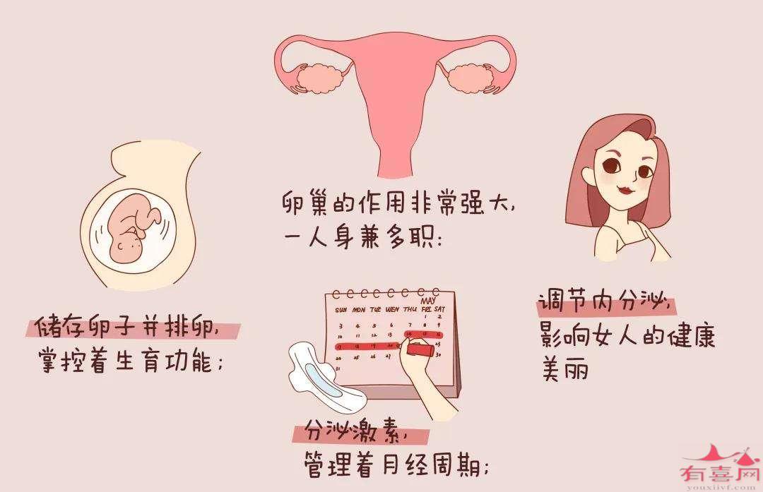 女人卵巢早衰是什么原因引起的