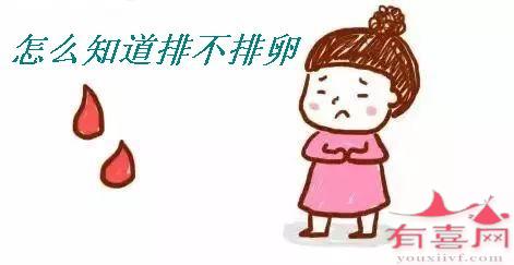 女性怎么知道排不排卵