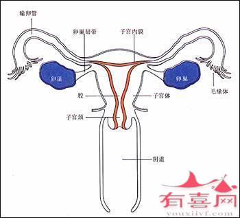 宫颈白斑对女性的危害有哪些