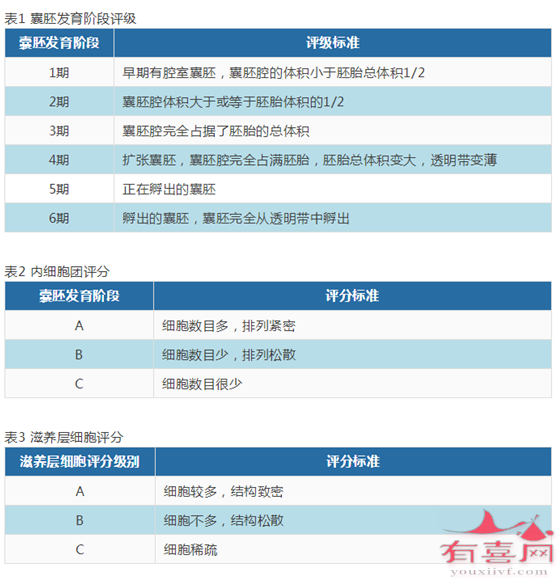 3bb囊胚质量好不好，移植成功率高吗