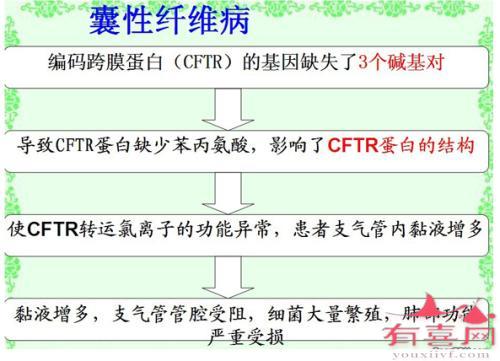 囊性纤维化的致病原因，哪些人需要做致病基因鉴定?