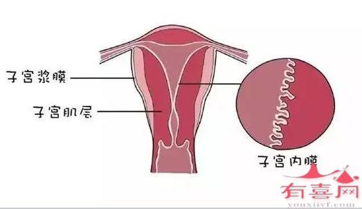 抗子宫内膜抗体弱阳性严重吗