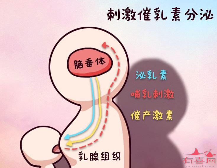 泌乳素高影响怀孕吗