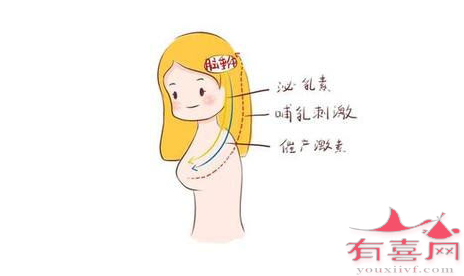 泌乳素高对怀孕有影响吗