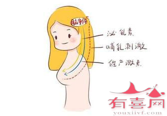 六项激素只有泌乳素高是什么原因,能怀孕吗