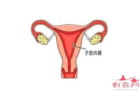 女性子宫大内膜厚是怎么回事