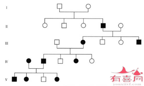 图1：软骨发育不全的典型家族史