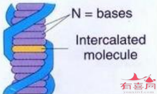 基因突变所致