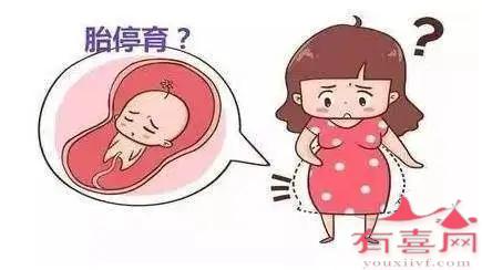 准妈妈们要如何预防胎停