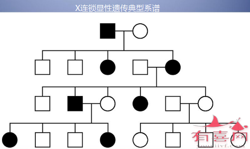 X连锁显性遗传