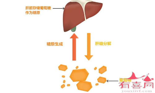 I型糖原累积病是什么