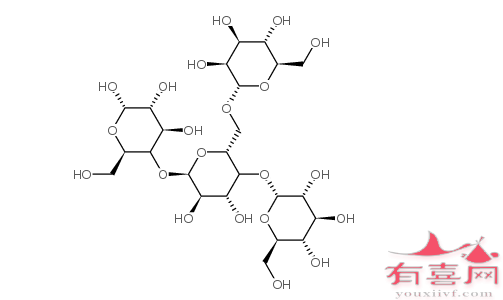 分支酶是糖原合成途径中必需的酶