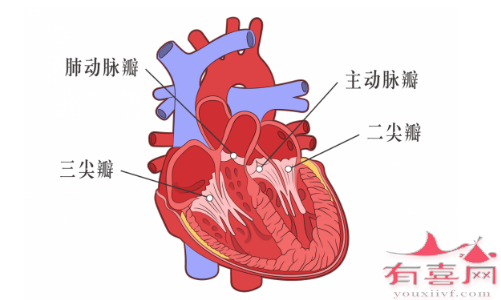 心血管可能存在的问题