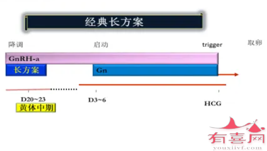 长方案示例图