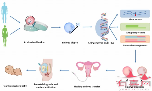 三代试管PGT技术流程图