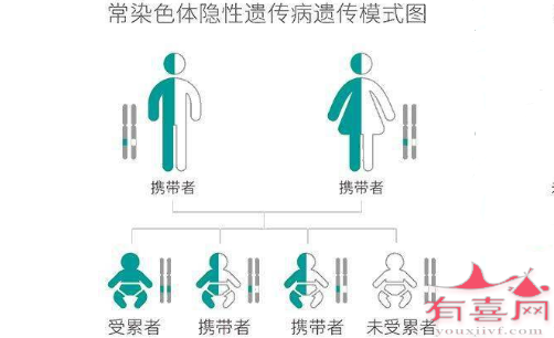 常染色体隐性遗传模式