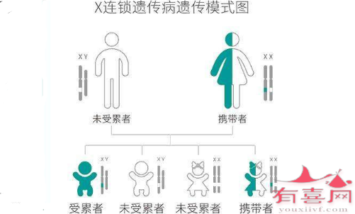 X连锁隐性遗传模式