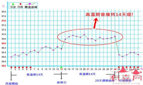 孕后体温持续高于正常体温