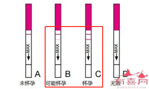 不同测试结果