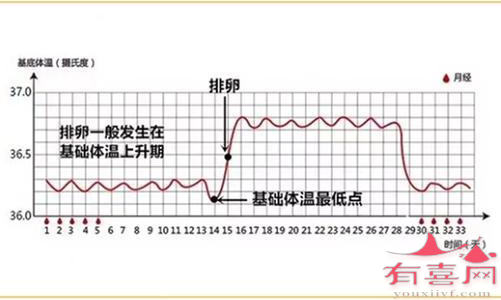 基础体温检测