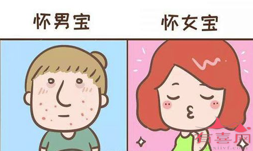 怀男宝孕妈会变丑