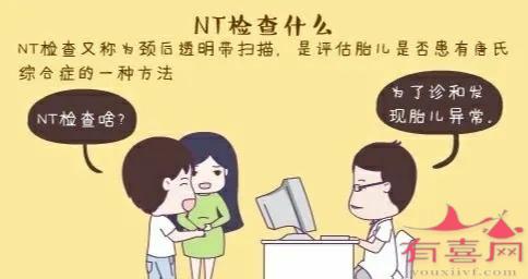 nt检查的临床意义