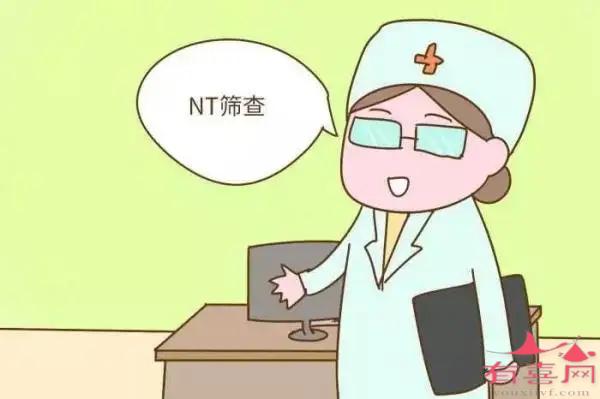 nt单子上有男女暗示xy是假的