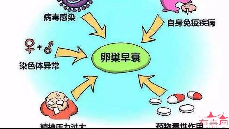 卵巢早衰是怎么造成的