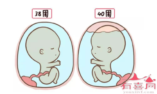 羊水会逐渐减少