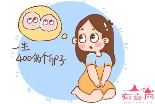 女性一生有400多个卵子排出