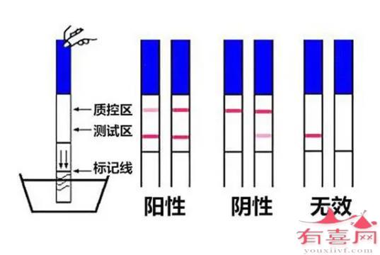 试纸逐渐变深的原因