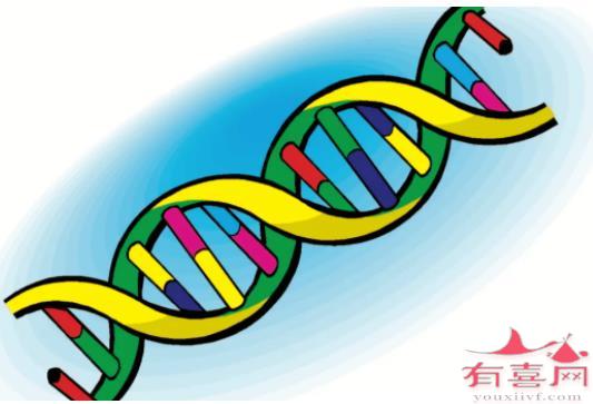 常染色体隐性遗传病的特点