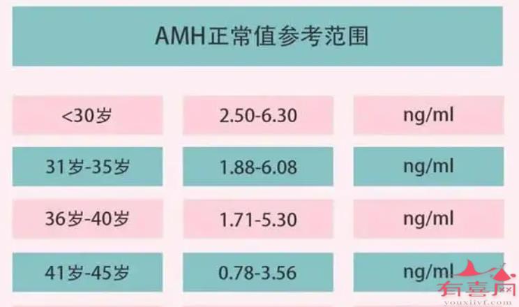 amh正常值参考范围