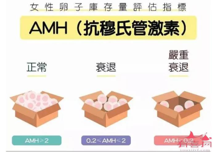 AMH检查最佳时间