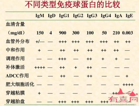 不同类型免疫蛋白的对比